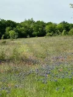 35 Longview Creek Trl, Itasca, TX 76055