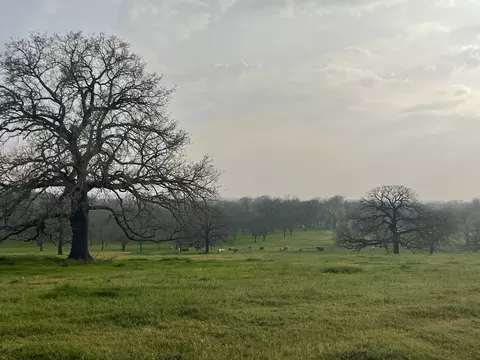 301 Pr-4388, Decatur, TX 76234