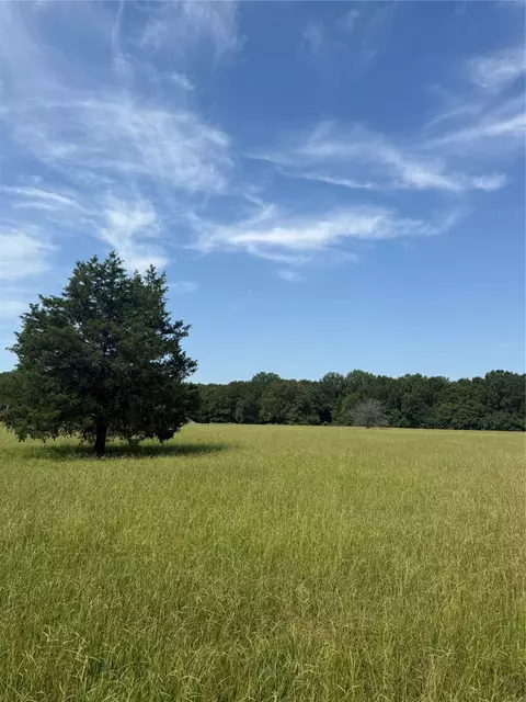 000 Fm 412, Clarksville, TX 75426
