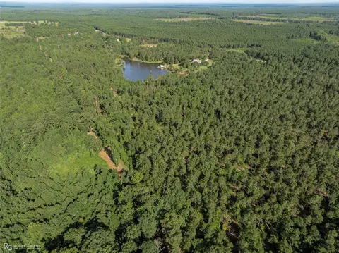 View/Area - 19229 Highway 157, Plain Dealing, LA 71064 photo 10 of 11