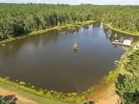 View/Area - 19229 Highway 157, Plain Dealing, LA 71064 photo 8 of 11