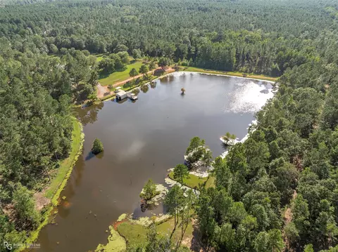 View/Area - 19229 Highway 157, Plain Dealing, LA 71064 photo 9 of 11