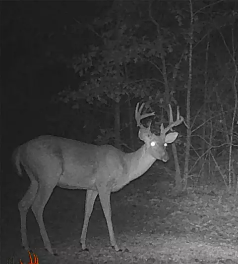 Other - 19229 Highway 157, Plain Dealing, LA 71064 photo 6 of 8