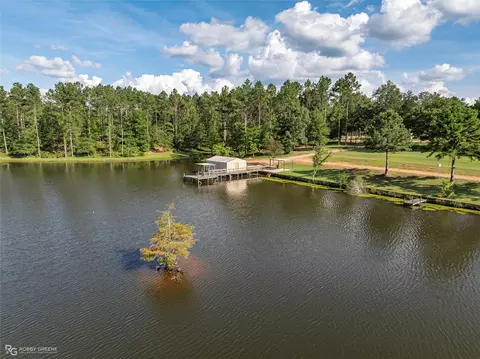 View/Area - 19229 Highway 157, Plain Dealing, LA 71064 photo 6 of 11