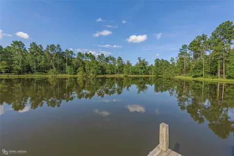 View/Area - 19229 Highway 157, Plain Dealing, LA 71064 photo 2 of 11