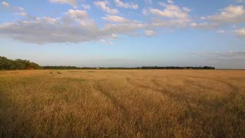 tbd Fm-1082, Abilene, TX 79601 photo 8
