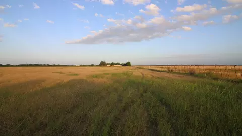 tbd Fm-1082, Abilene, TX 79601 photo 6