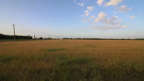 tbd Fm-1082, Abilene, TX 79601 photo 13