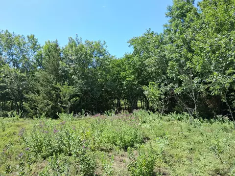 241 Texas Dr, Palmer, TX 75152