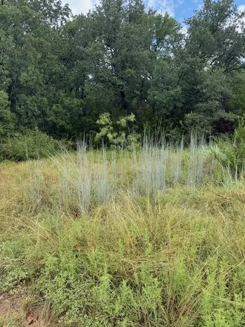 4312 Tennessee Trl, Granbury, TX 76048