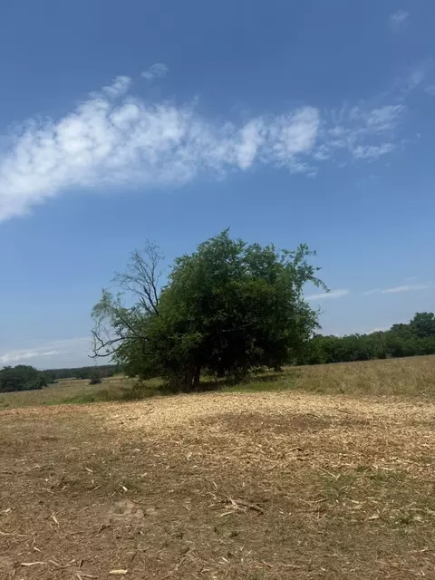 Tract 5 County Road 3562, Dike, TX 75437