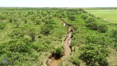 8445 County Road 226, Avoca, TX 79503