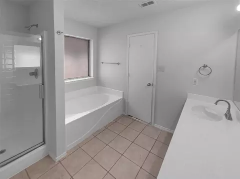 Bath - 1110 Grounds Rd, Cedar Hill, TX 75104 photo 3 of 3