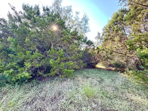 45001 Fringewood Dr, Whitney, TX 76692