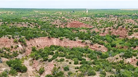 0000 Cr 1274, Snyder, TX 79549