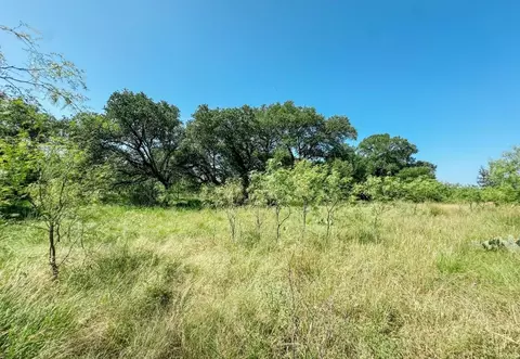 lot6 Morris Sheppard Dr, Brownwood, TX 76801