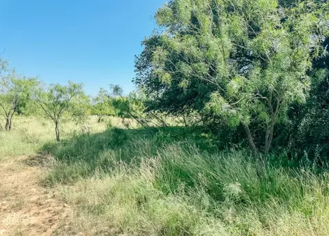 lot4 Morris Sheppard Dr, Brownwood, TX 76801