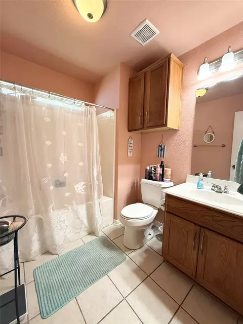 Bath - 10226 Condor Loop, Waco, TX 76708 photo 3 of 4