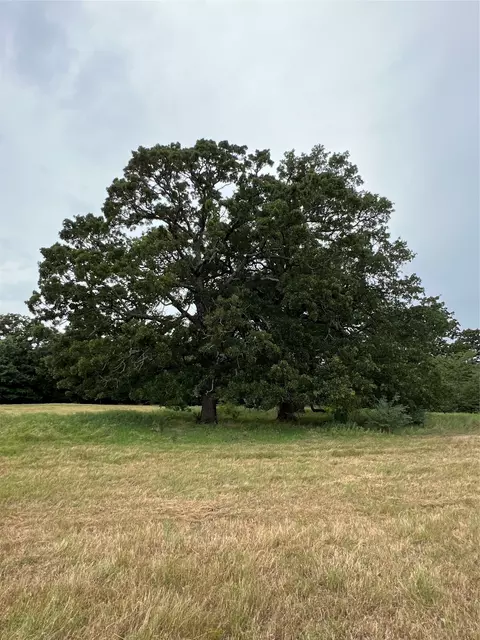 000 County Road 3512, Dike, TX 75437