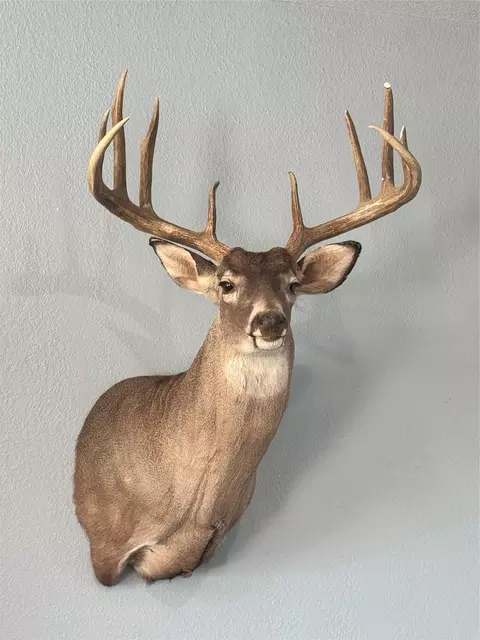 3402 County Road 196, Blackwell, TX 79506