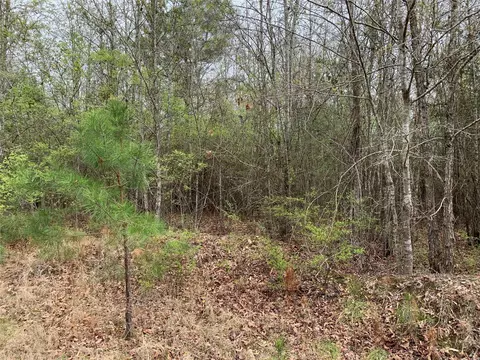 0 Sikes Orchard Rd, Jamestown, LA 71045