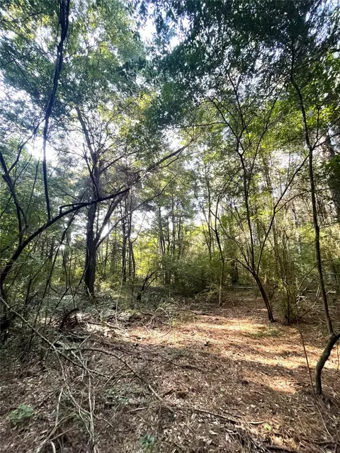 tbd Fm 44 E, De Kalb, TX 75559 photo 5