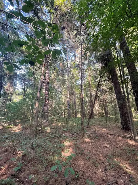 tbd Fm 44 E, De Kalb, TX 75559 photo 6
