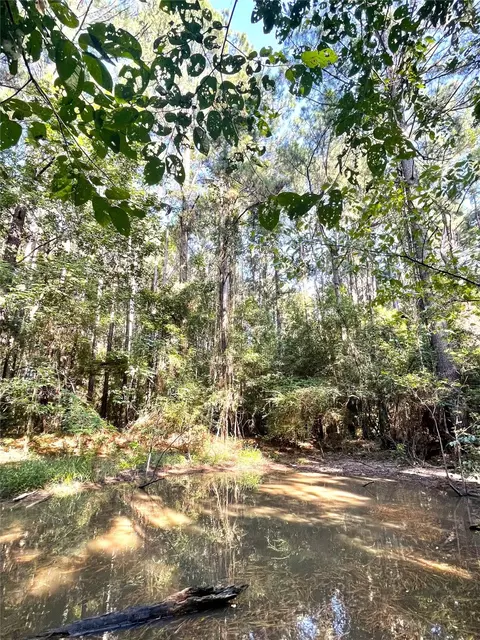 tbd Fm 44 E, De Kalb, TX 75559 photo 2