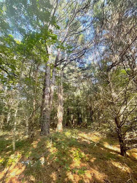 tbd Fm 44 E, De Kalb, TX 75559 photo 7