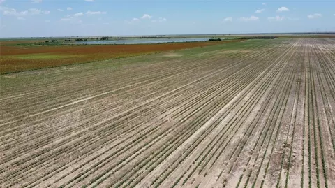 169 Acres Fm 617, No City, TX 79521