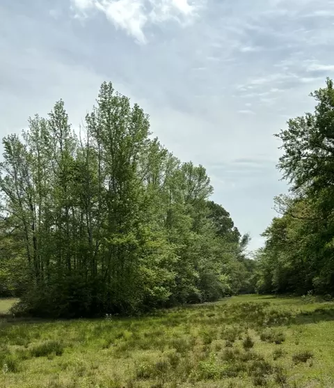 tbd 013 County Road 242, Oakwood, TX 75855