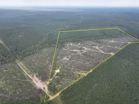 1 Red Rock Rd, Robeline, LA 71469