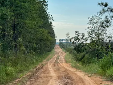 1 Red Rock Rd, Robeline, LA 71469 photo 6