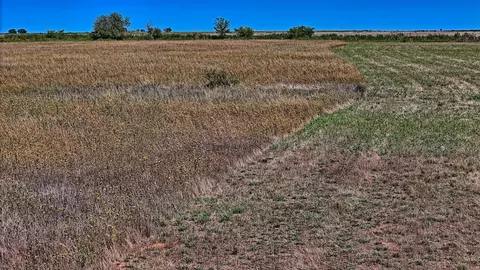 tbd Dunn Rd, Olney, TX 76374 photo 8