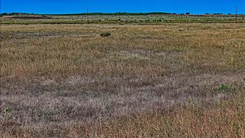 tbd Dunn Rd, Olney, TX 76374 photo 9