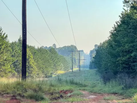 2 Red Rock Rd, Robeline, LA 71469 photo 6