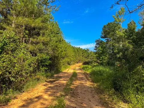 2 Red Rock Rd, Robeline, LA 71469 photo 10