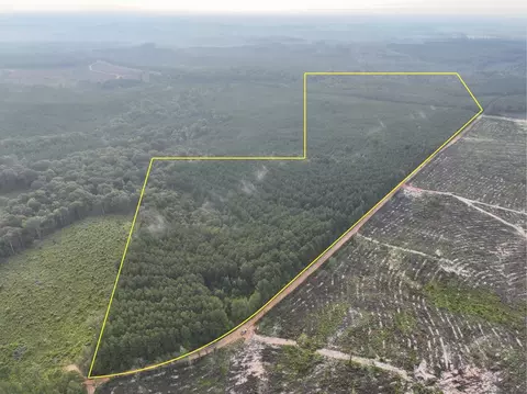 2 Red Rock Rd, Robeline, LA 71469