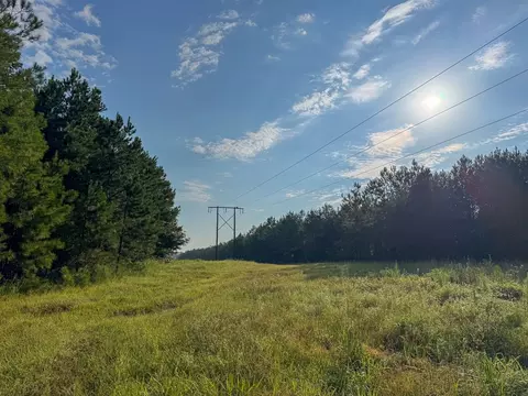 2 Red Rock Rd, Robeline, LA 71469 photo 16