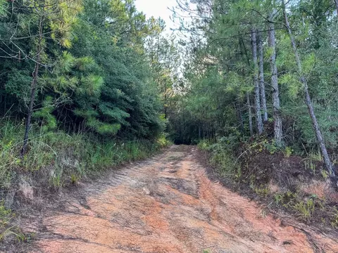 2 Red Rock Rd, Robeline, LA 71469 photo 14