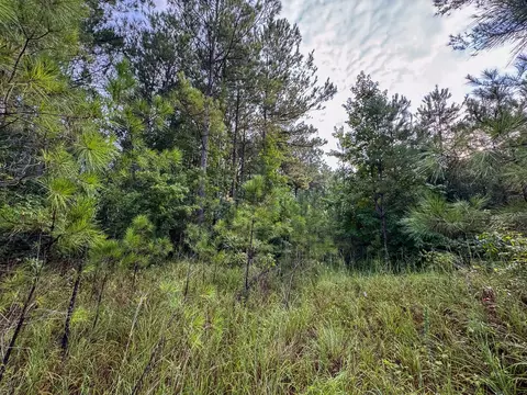 2 Red Rock Rd, Robeline, LA 71469 photo 11