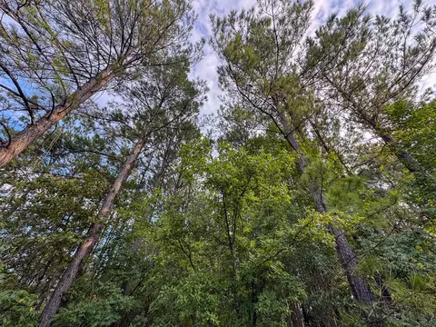 2 Red Rock Rd, Robeline, LA 71469 photo 12