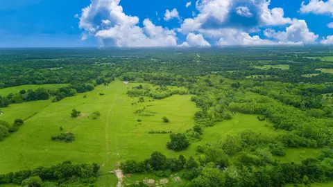 tbd Fm 2194, Celeste, TX 75423 photo 15