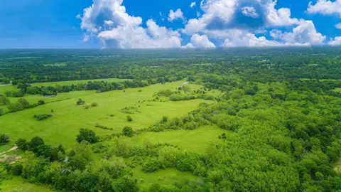 tbd Fm 2194, Celeste, TX 75423 photo 14