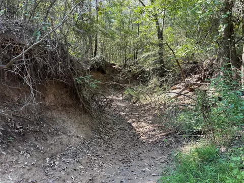 tbd Fm 69 #TRACT 2, Como, TX 75431 photo 4