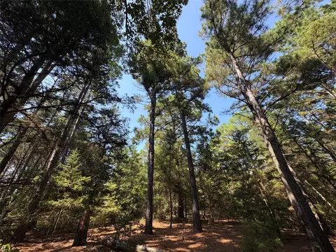 tbd Fm 69 #TRACT 2, Como, TX 75431 photo 9