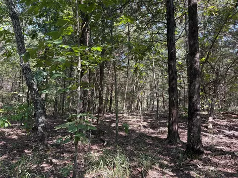 tbd Fm 69 #TRACT 2, Como, TX 75431 photo 10