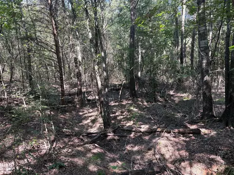 tbd Fm 69 #TRACT 2, Como, TX 75431 photo 6