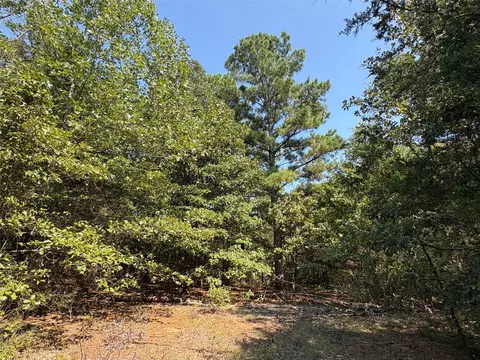 tbd Fm 69 #TRACT 2, Como, TX 75431 photo 2