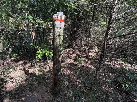 tbd Fm 69 #TRACT 2, Como, TX 75431 photo 13